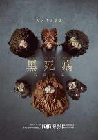 黑死病:石貂之手第二季