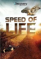 探索频道:生命的速度