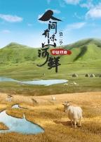 人间有味山河鲜第二季