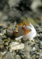 纪录片:海底世界