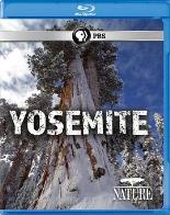 自然:约塞米蒂国家公园