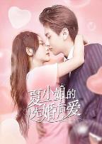 夏小姐的先婚后爱