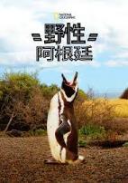 国家地理野性阿根廷