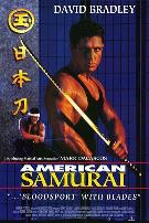 全能战将(国语版)