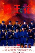 霸王花（国语版）