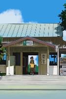 星空之下，少年的一天