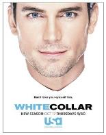 妙警贼探 第五季