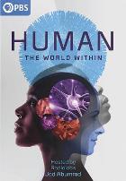 人类:体内的世界
