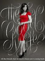 傲骨贤妻 第七季