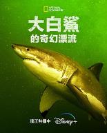大白鲨的奇幻漂流
