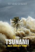 海啸:与时间赛跑