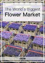 世界上最大的鲜花市场