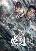 亮剑之英雄虎胆