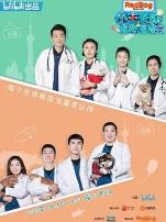 小主安康-宠物医院2